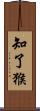 知了猴 Scroll