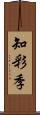 知彩季 Scroll