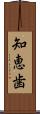 知恵歯 Scroll