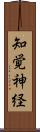 知覚神経 Scroll