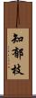知郁枝 Scroll