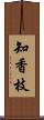 知香枝 Scroll