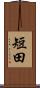 短田 Scroll