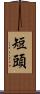 短頭 Scroll
