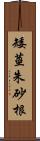 矮莖朱砂根 Scroll