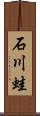 石川蛙 Scroll