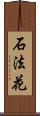 石法花 Scroll