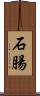 石腸 Scroll