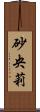 砂央莉 Scroll