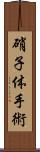 硝子体手術 Scroll