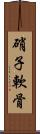 硝子軟骨 Scroll