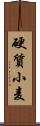 硬質小麦 Scroll