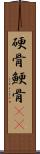 硬骨;鯁骨(rK) Scroll