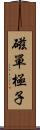 磁單極子 Scroll