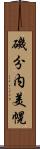 磯分内美幌 Scroll