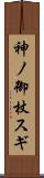 神ノ御杖スギ Scroll