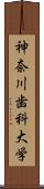 神奈川歯科大学 Scroll