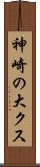 神崎の大クス Scroll