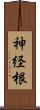 神経根 Scroll
