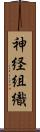 神経組織 Scroll