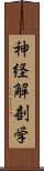 神経解剖学 Scroll