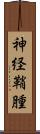 神経鞘腫 Scroll