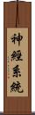 神經系統 Scroll