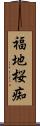 福地桜痴 Scroll