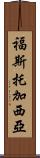 Fausto Garcia Scroll