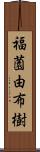 福薗由布樹 Scroll