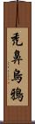 禿鼻烏鴉 Scroll