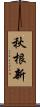 秋根新 Scroll