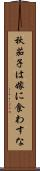 秋茄子は嫁に食わすな Scroll