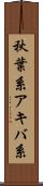 秋葉系 Scroll