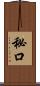 秘口 Scroll
