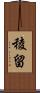 稜留 Scroll