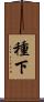 種下 Scroll