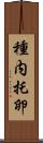 種内托卵 Scroll