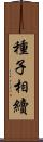 種子相續 Scroll