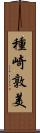 種崎敦美 Scroll