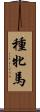 種牝馬 Scroll