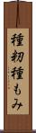 種籾 Scroll