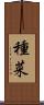 種菜 Scroll