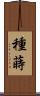 種蒔 Scroll