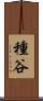 種谷 Scroll