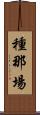 種那場 Scroll