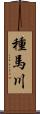 種馬川 Scroll