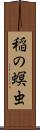 稲の螟虫 Scroll