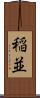 稲並 Scroll
