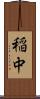 稲中 Scroll
